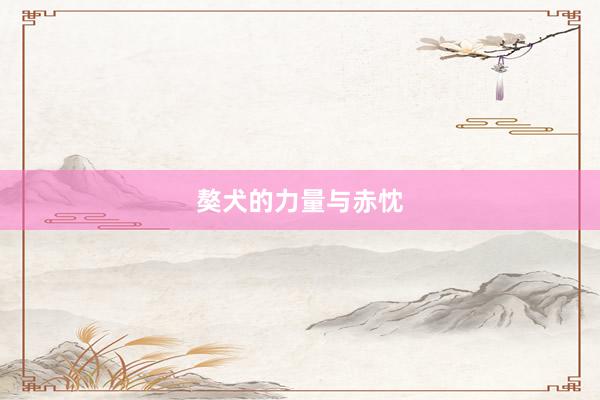 獒犬的力量与赤忱
