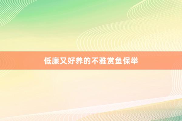低廉又好养的不雅赏鱼保举